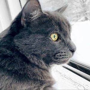 Meet your Posher, Kirsten